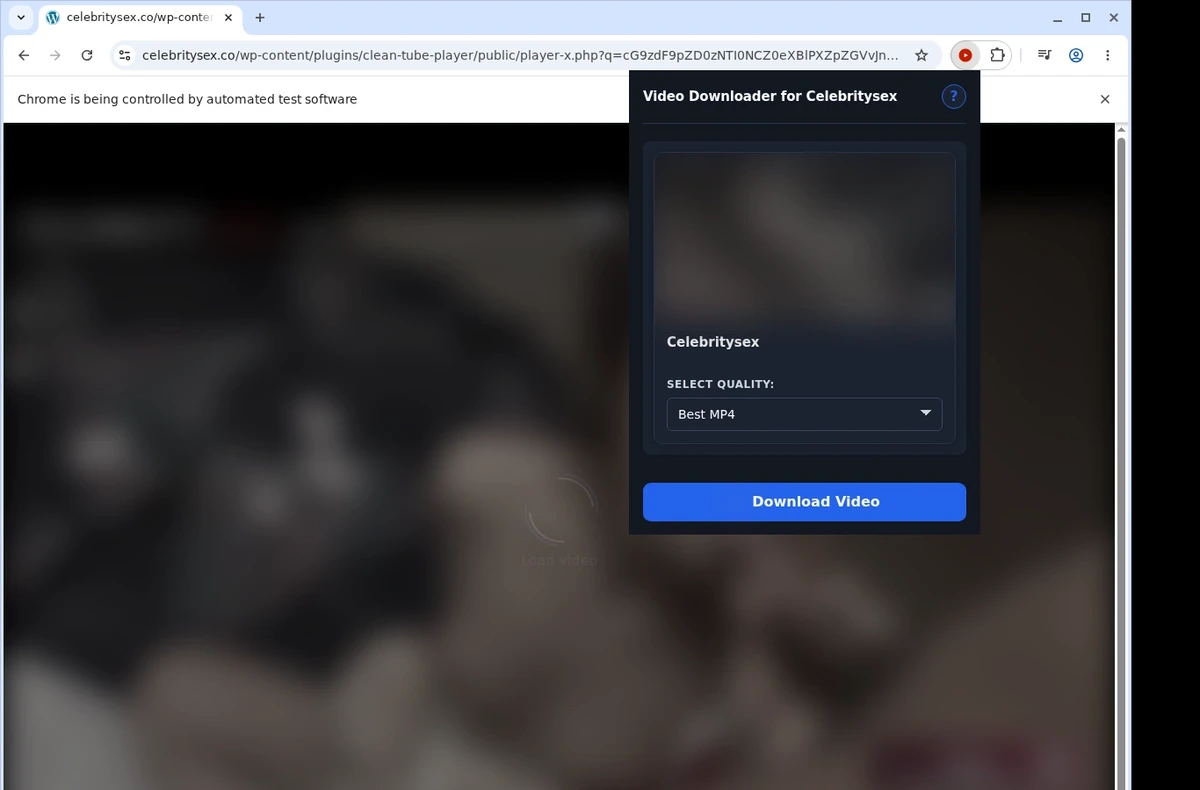 Celebritysex Video Downloader ready state screenshot