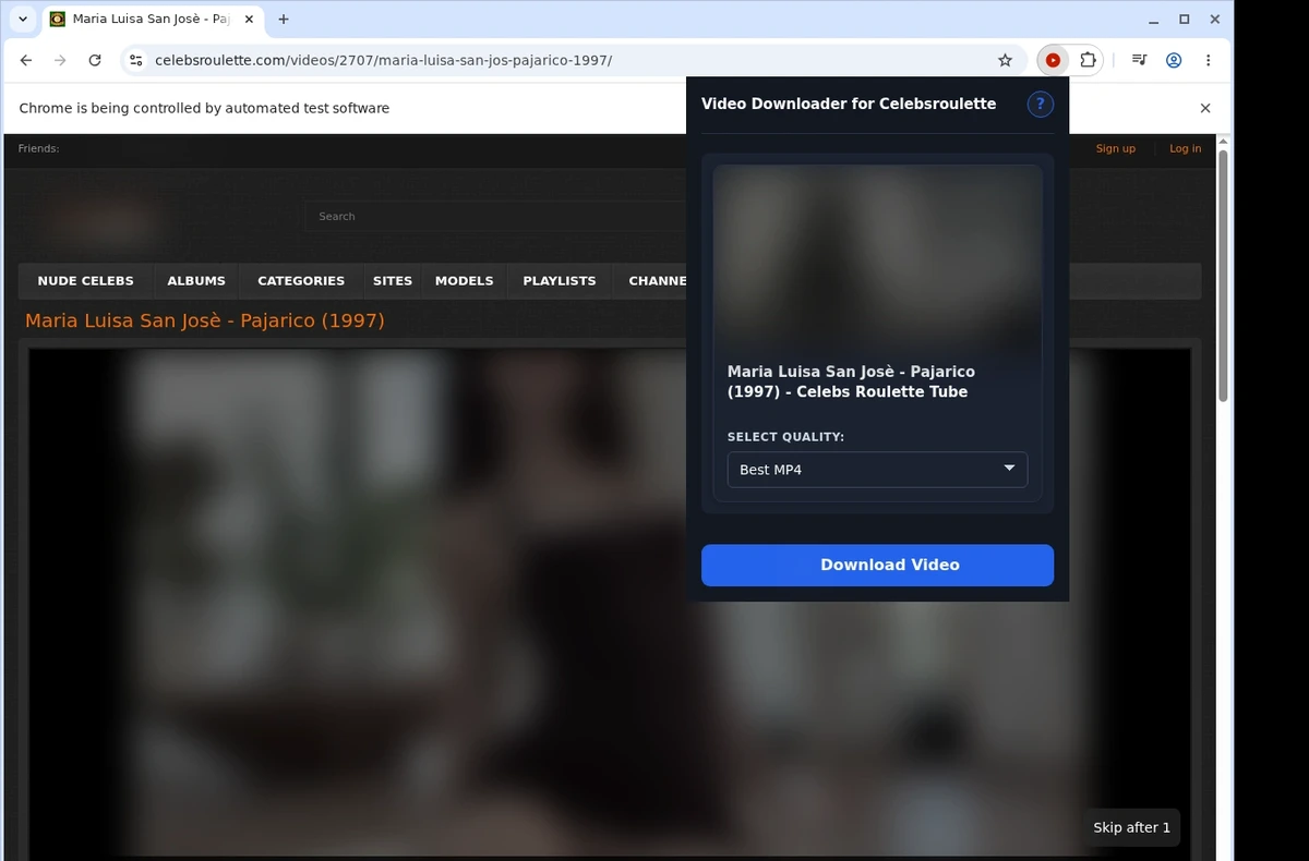 Celebsroulette Downloader ready state screenshot
