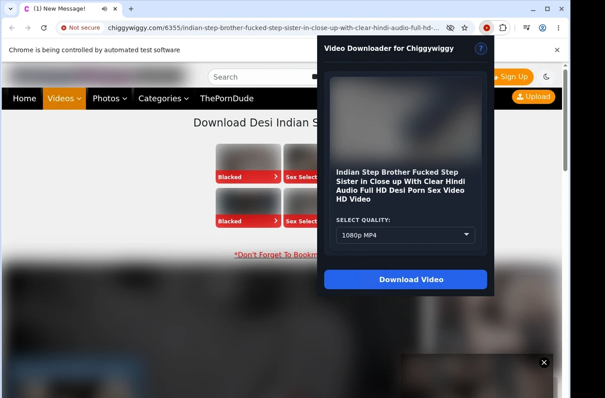 Chiggywiggy Downloader ready state screenshot
