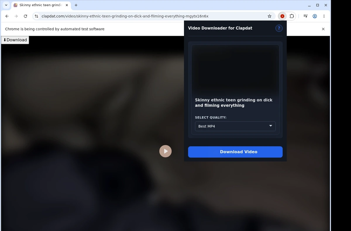 Clapdat Video Downloader ready state screenshot