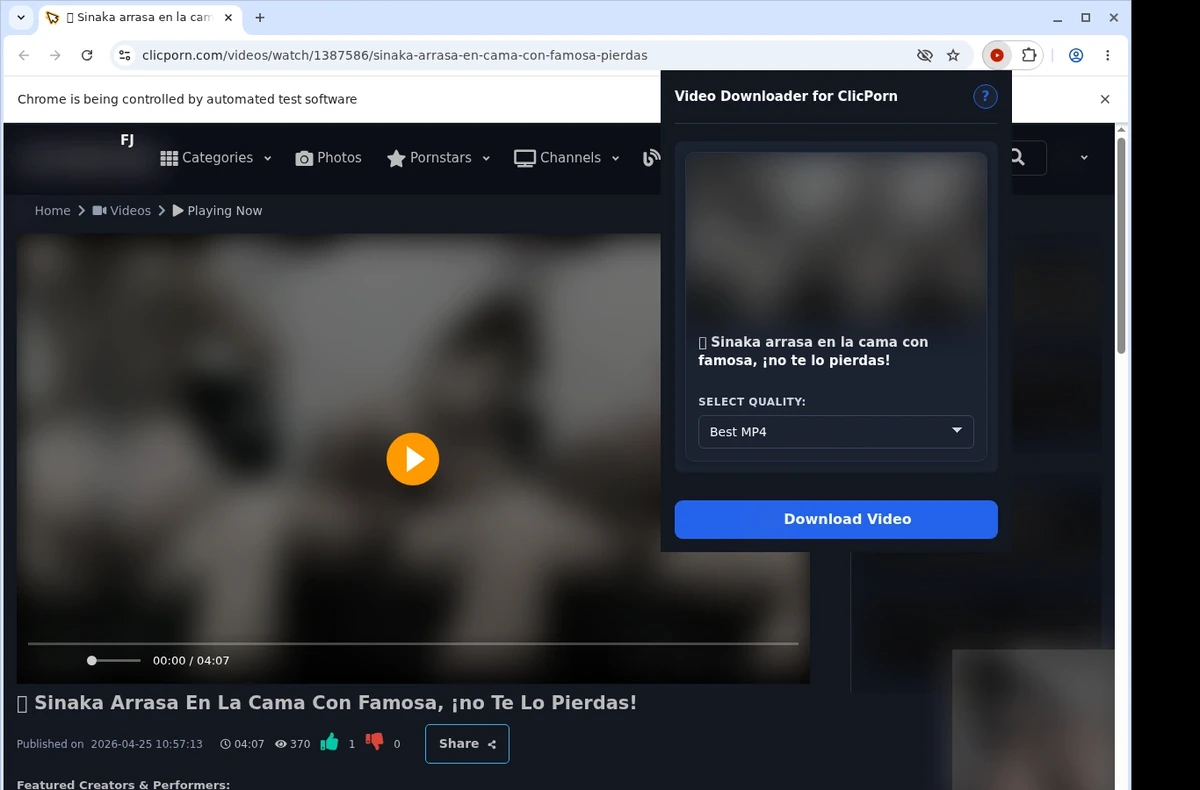 Clicporn Video Downloader ready state screenshot