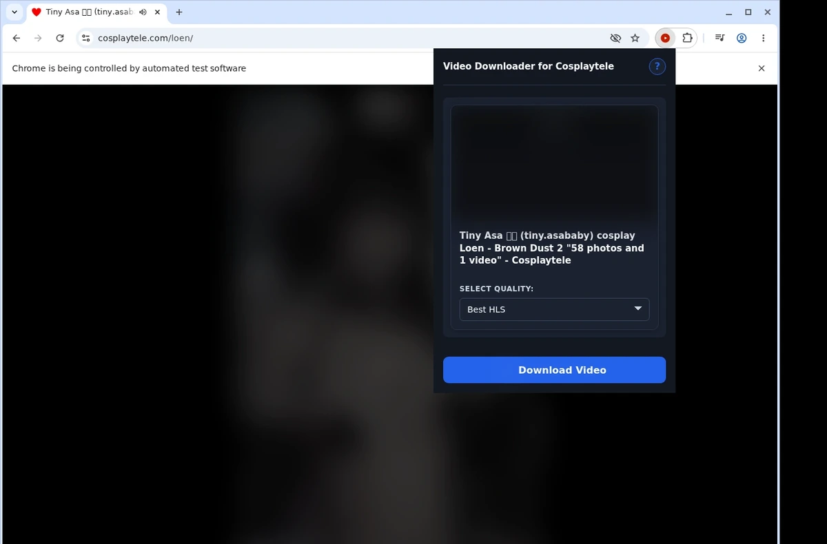 CosplayTele Downloader ready state screenshot