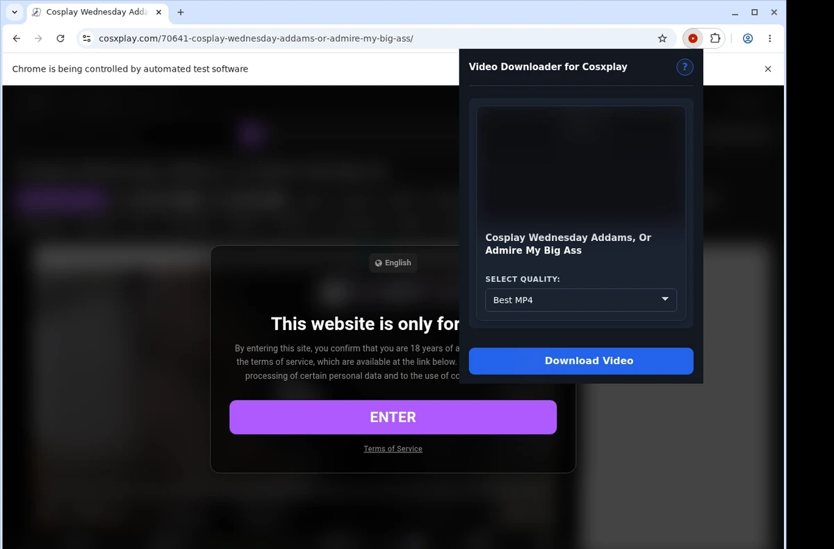 Cosxplay Video Downloader ready state screenshot