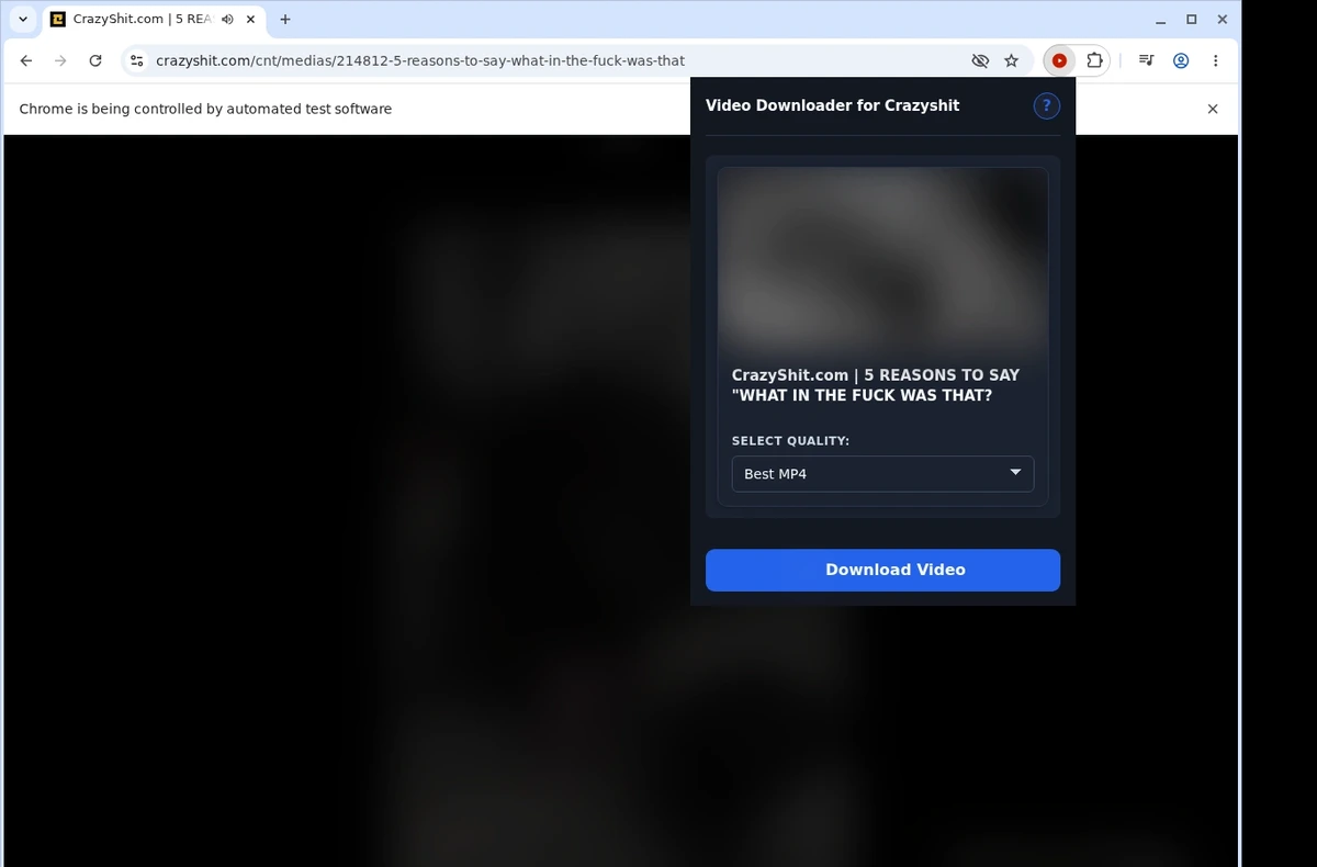 CrazyShit Video Downloader ready state screenshot