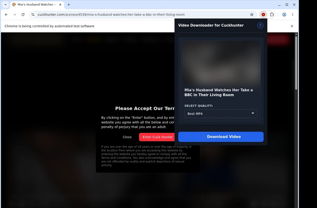 CuckHunter Video Downloader ready state screenshot