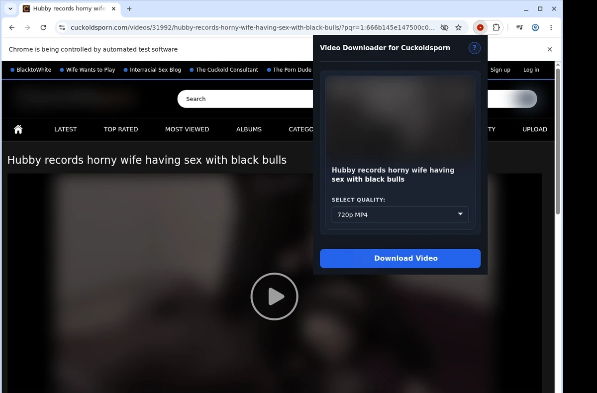 Cuckoldsporn Video Downloader ready state screenshot