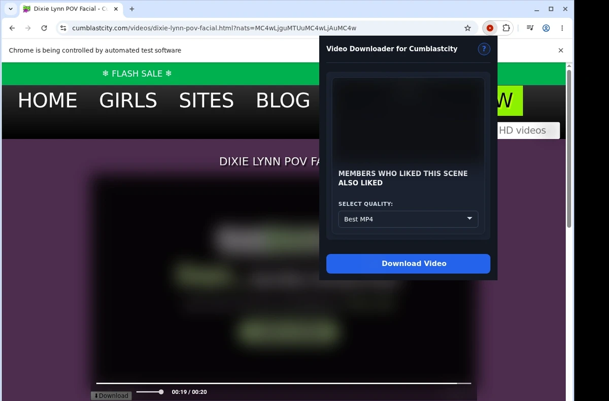 CumBlastCity Video Downloader ready state screenshot