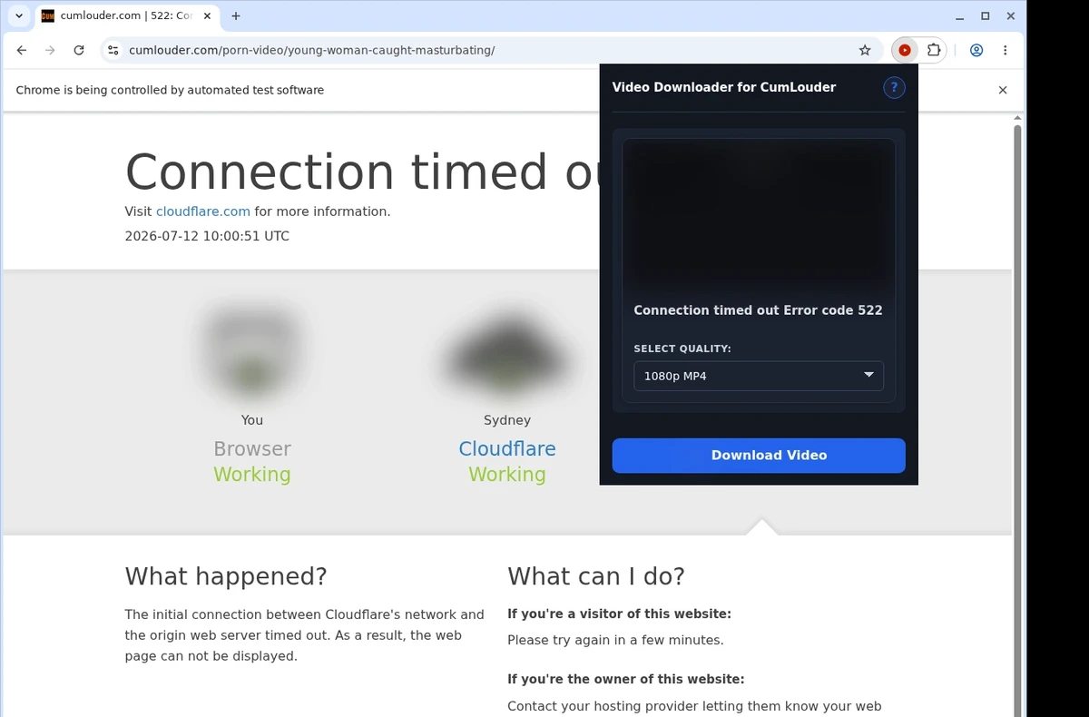 CumLouder Downloader ready state screenshot