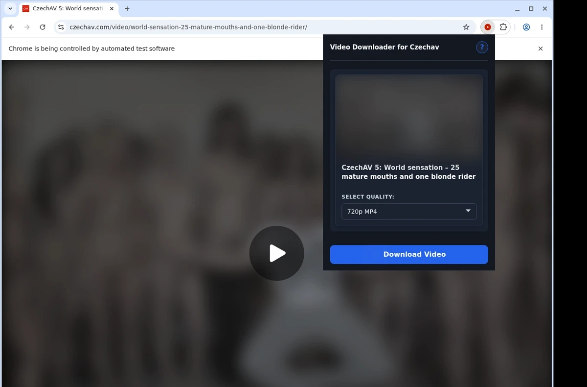 CzechAV Video Downloader ready state screenshot