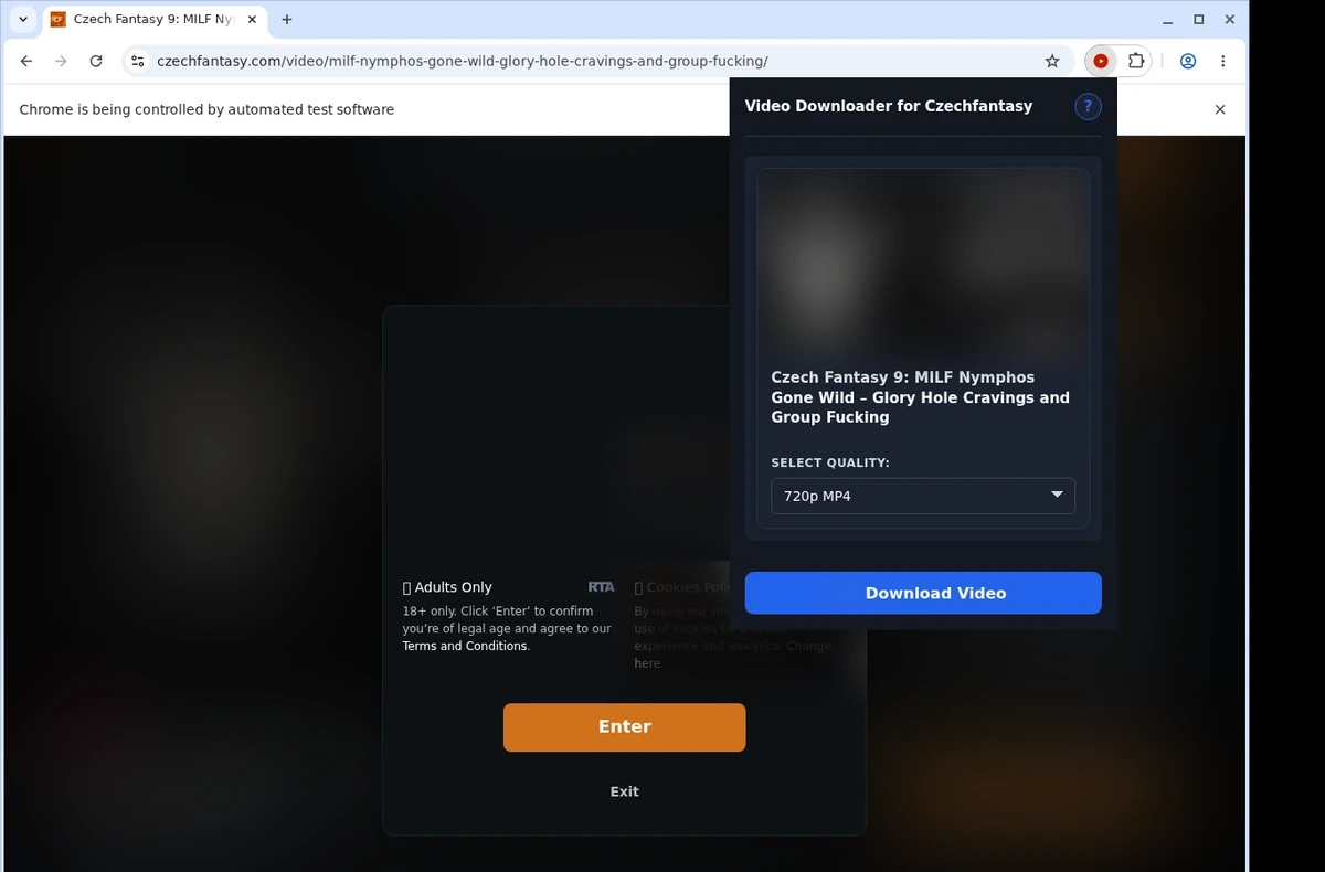 CzechFantasy Video Downloader ready state screenshot