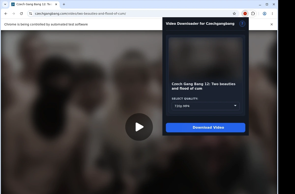 CzechGangbang Video Downloader ready state screenshot