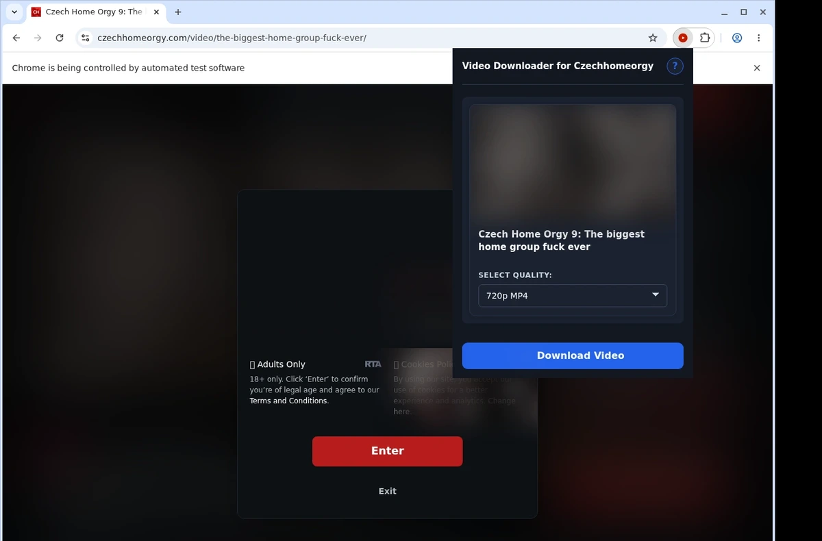 CzechHomeOrgy Video Downloader ready state screenshot