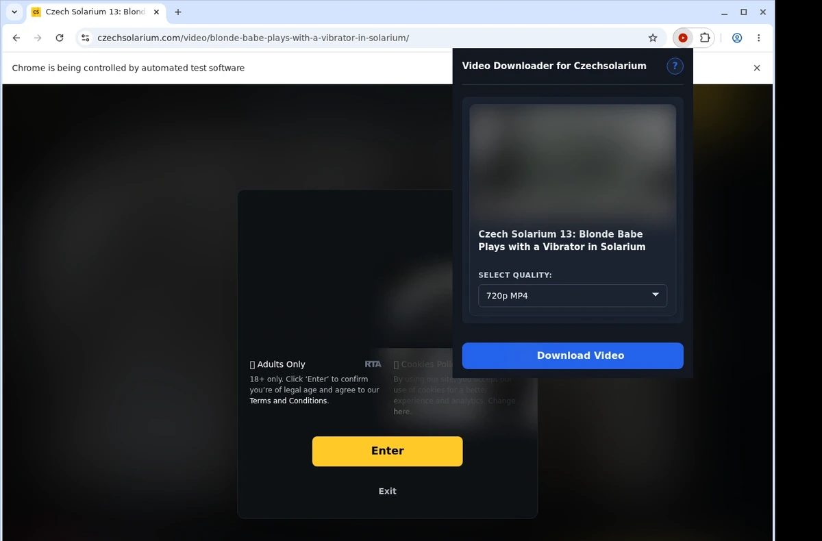 CzechSolarium Video Downloader ready state screenshot