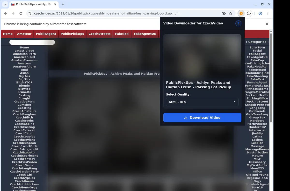 CzechVideo Downloader fullscreen screenshot