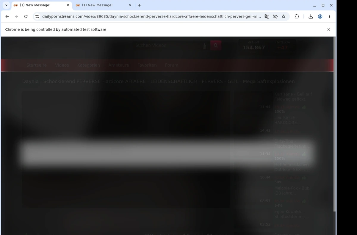 DailyPornStreams Video Downloader ready state screenshot