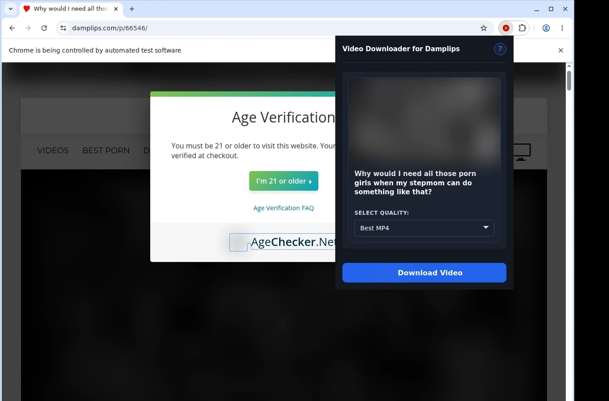 DampLips Video Downloader ready state screenshot