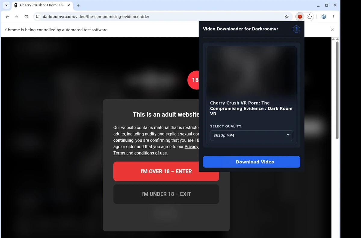 DarkroomVR Video Downloader ready state screenshot