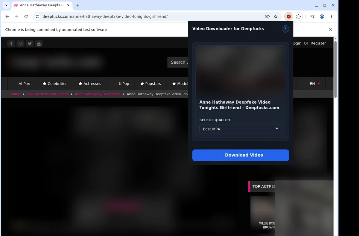 DeepFucks Video Downloader ready state screenshot