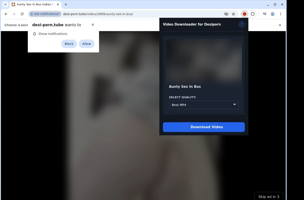DesiPorn Video Downloader ready state screenshot