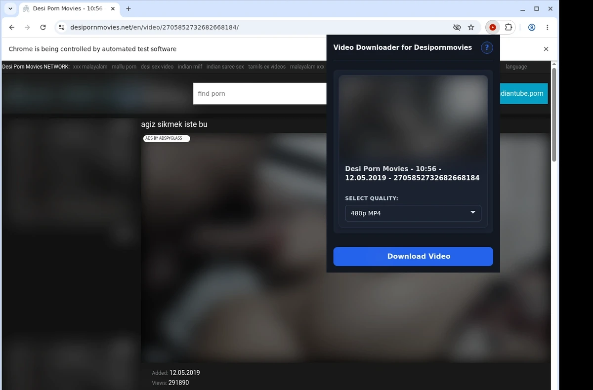 Desi Porn Movies Downloader ready state screenshot