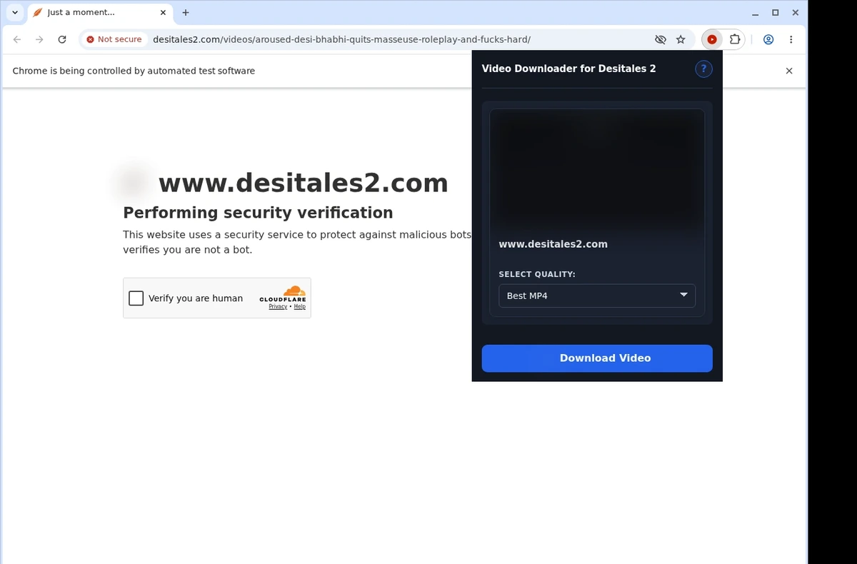 DesiTales2 Video Downloader ready state screenshot