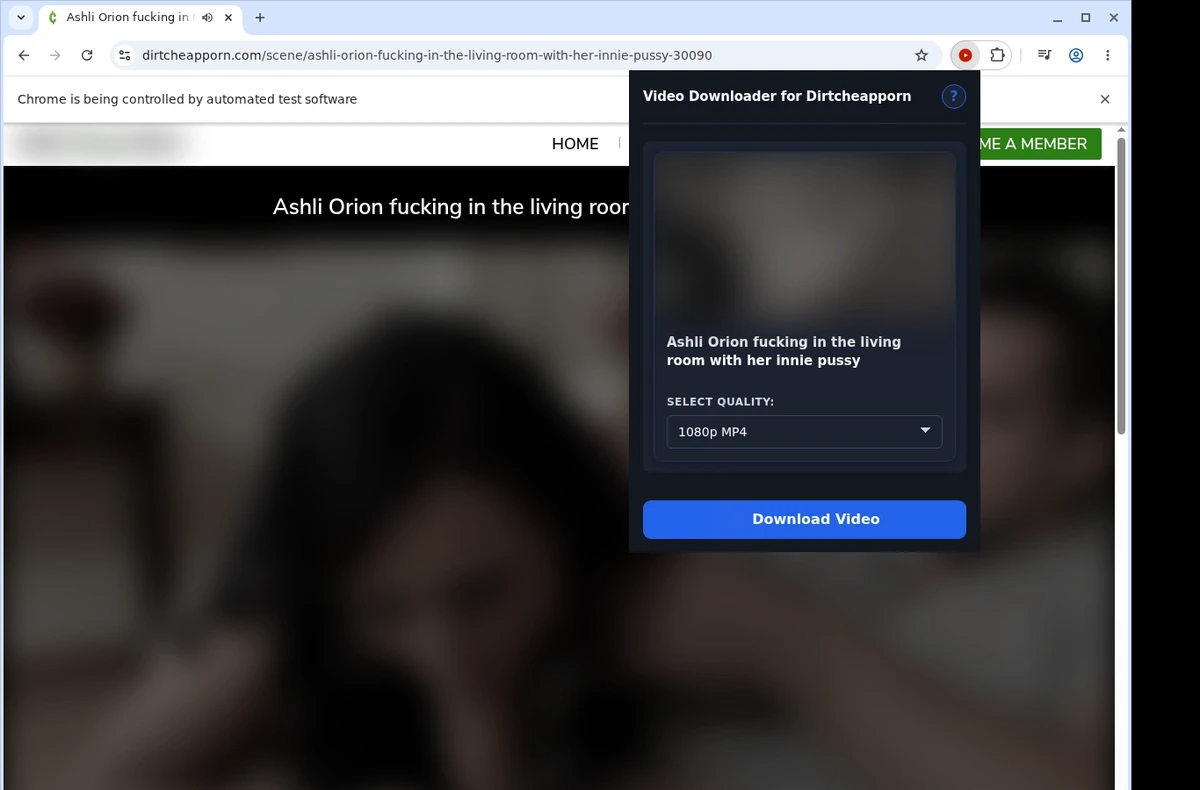 DirtCheapPorn Video Downloader ready state screenshot