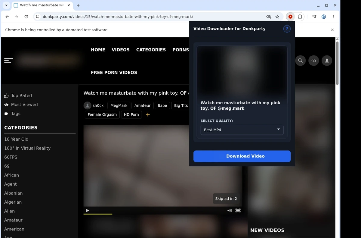 Donkparty Video Downloader ready state screenshot