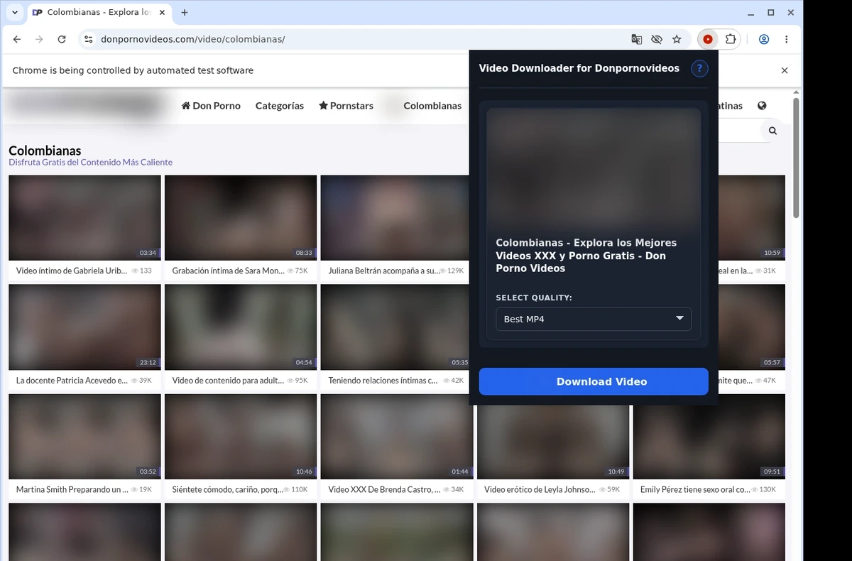 Donpornovideos Downloader ready state screenshot