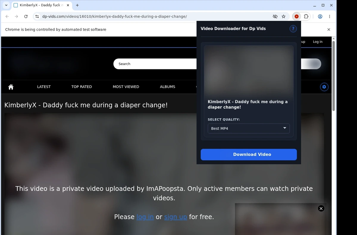 DP Vids Video Downloader ready state screenshot