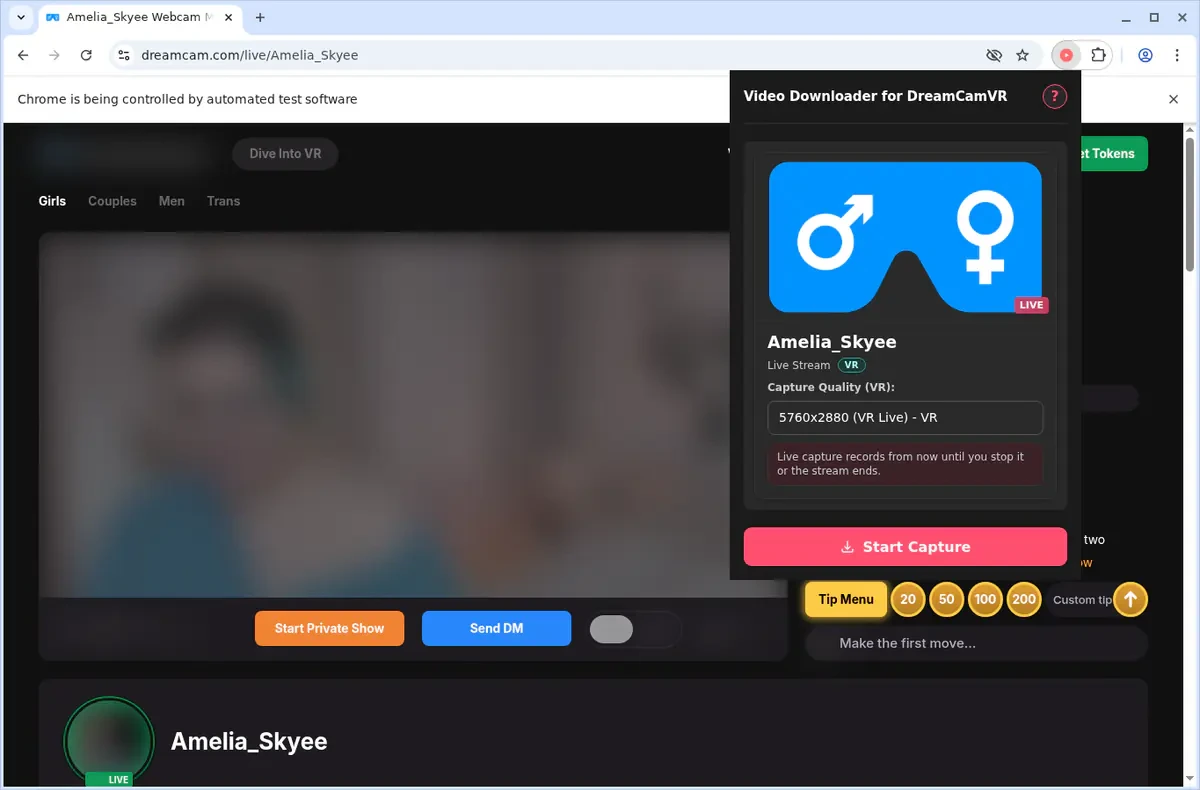 DreamCamVR Video Downloader fullscreen screenshot