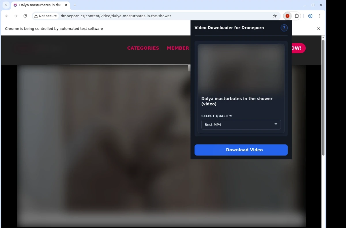DronePorn Video Downloader ready state screenshot