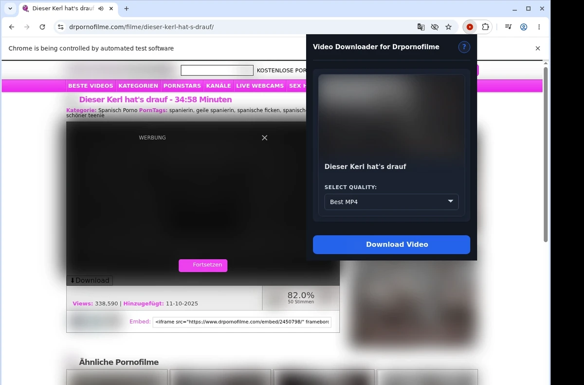 DrPornofilme Video Downloader ready state screenshot