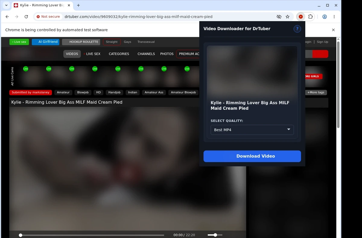 Drtuber Video Downloader ready state screenshot