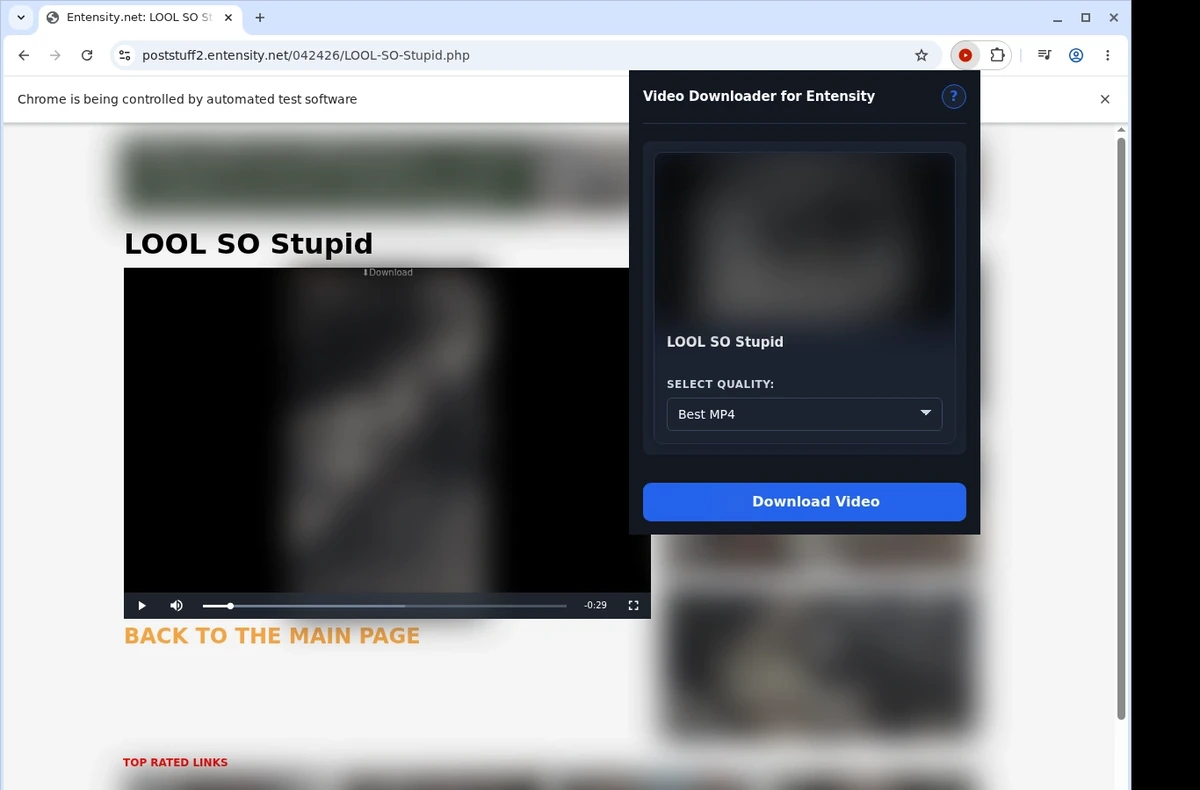 Entensity Video Downloader ready state screenshot