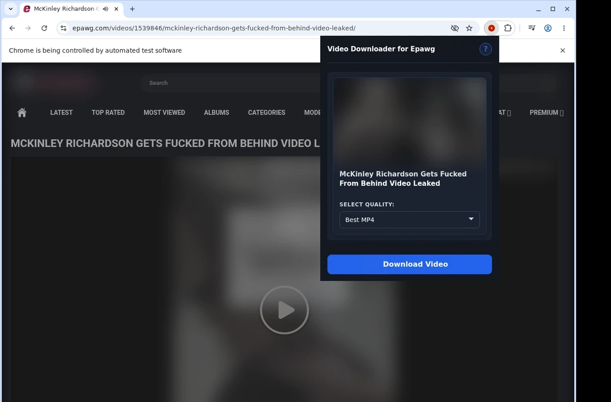 Epawg Downloader ready state screenshot