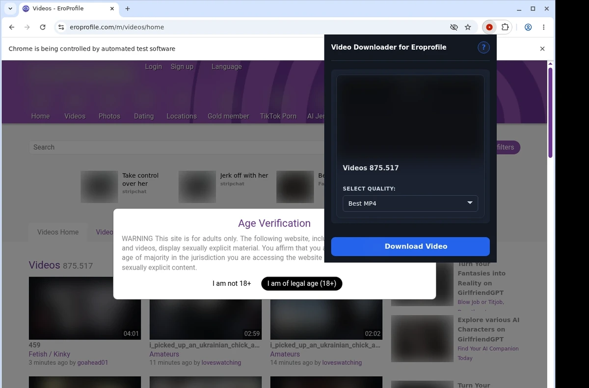 EroProfile Video Downloader ready state screenshot