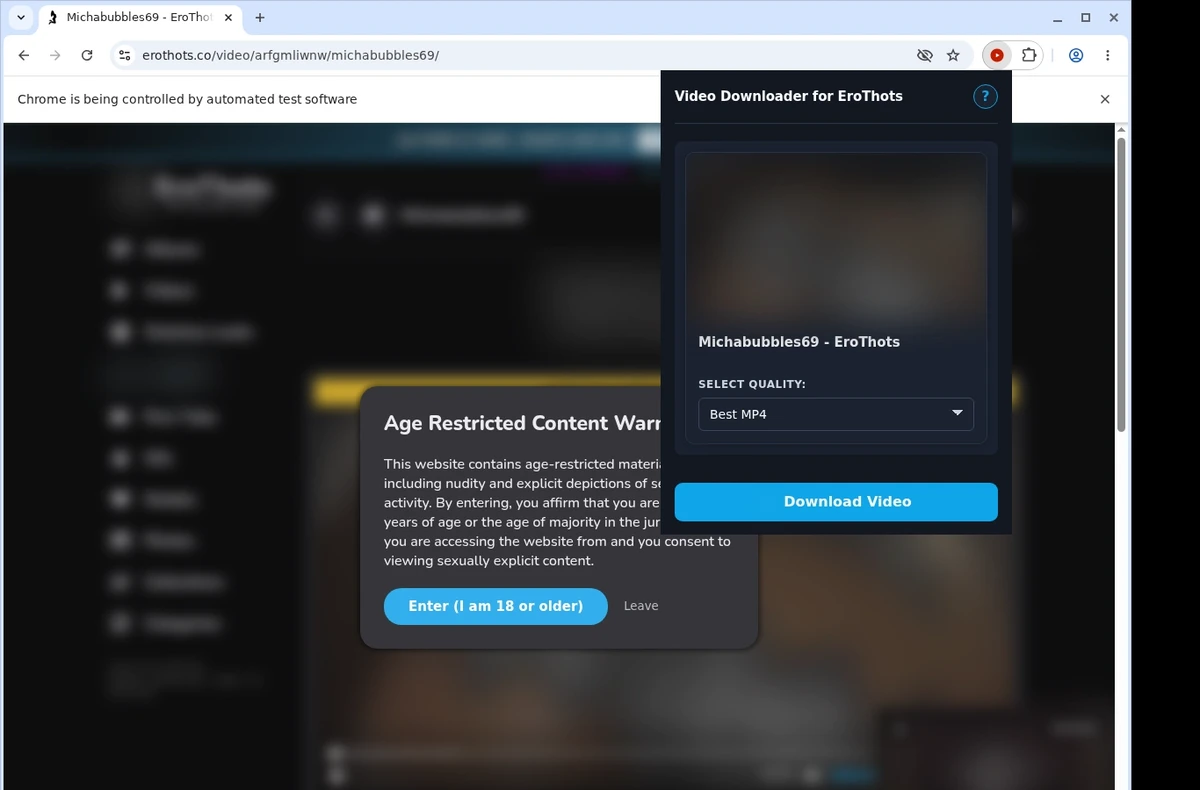 Erothots Video Downloader ready state screenshot