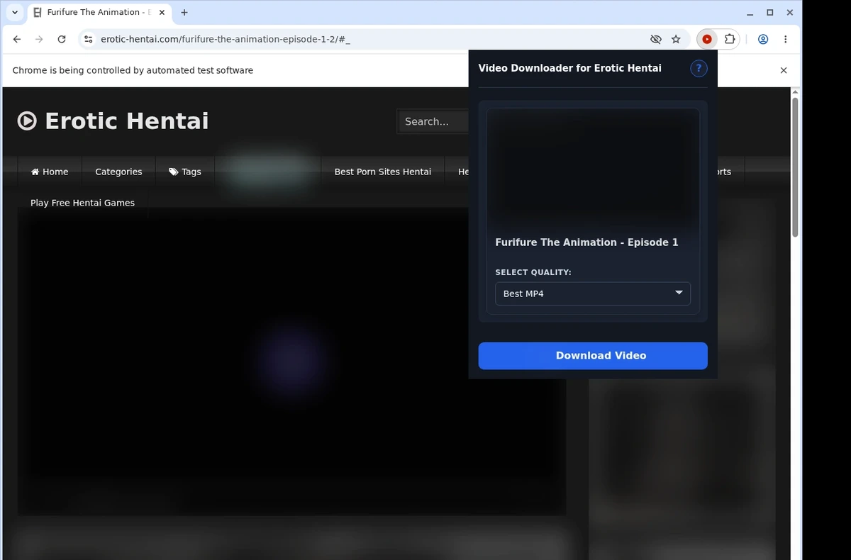 Erotic Hentai Video Downloader ready state screenshot