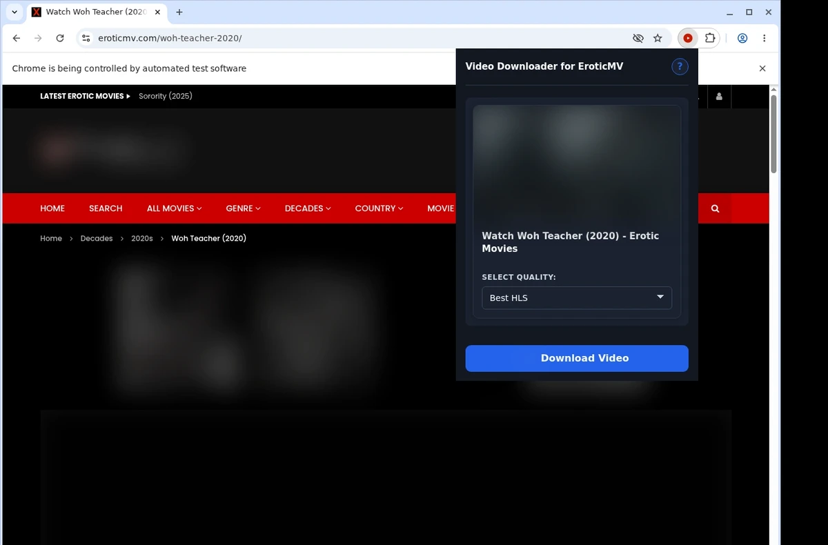 Eroticmv Video Downloader ready state screenshot