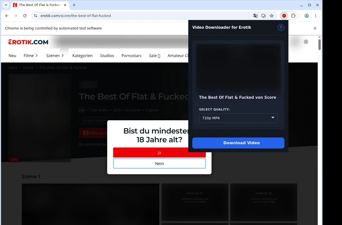 Erotik Downloader ready state screenshot
