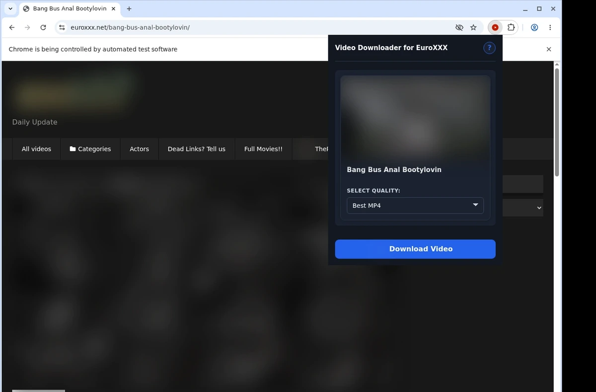 EuroXXX Downloader ready state screenshot
