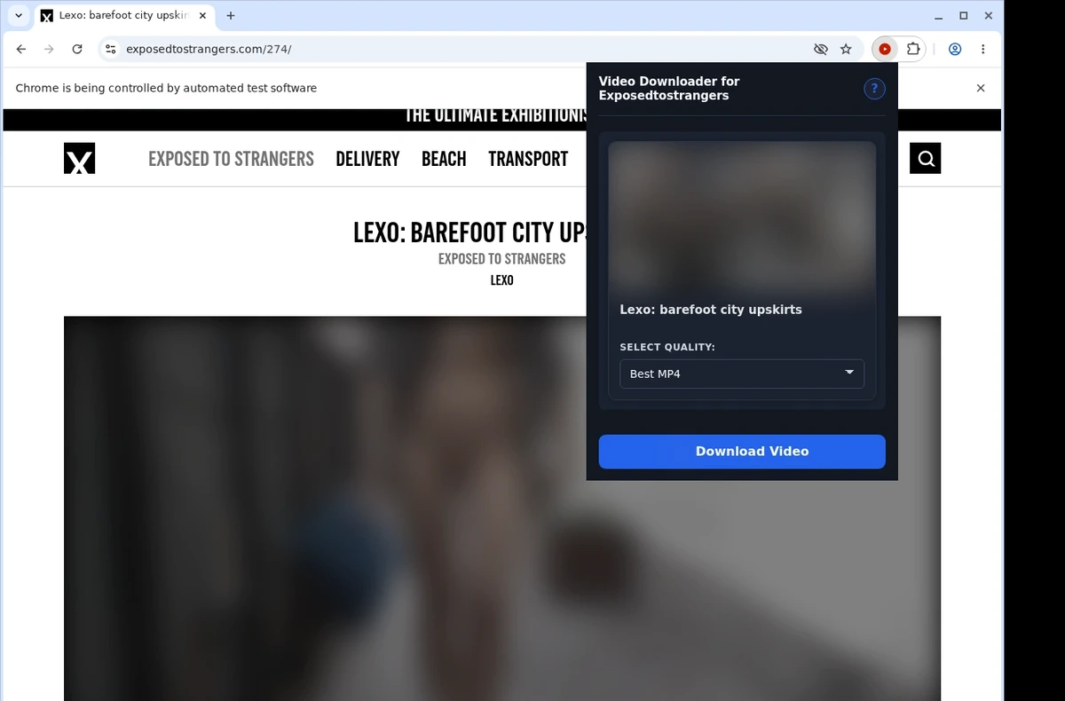 ExposedToStrangers Video Downloader ready state screenshot
