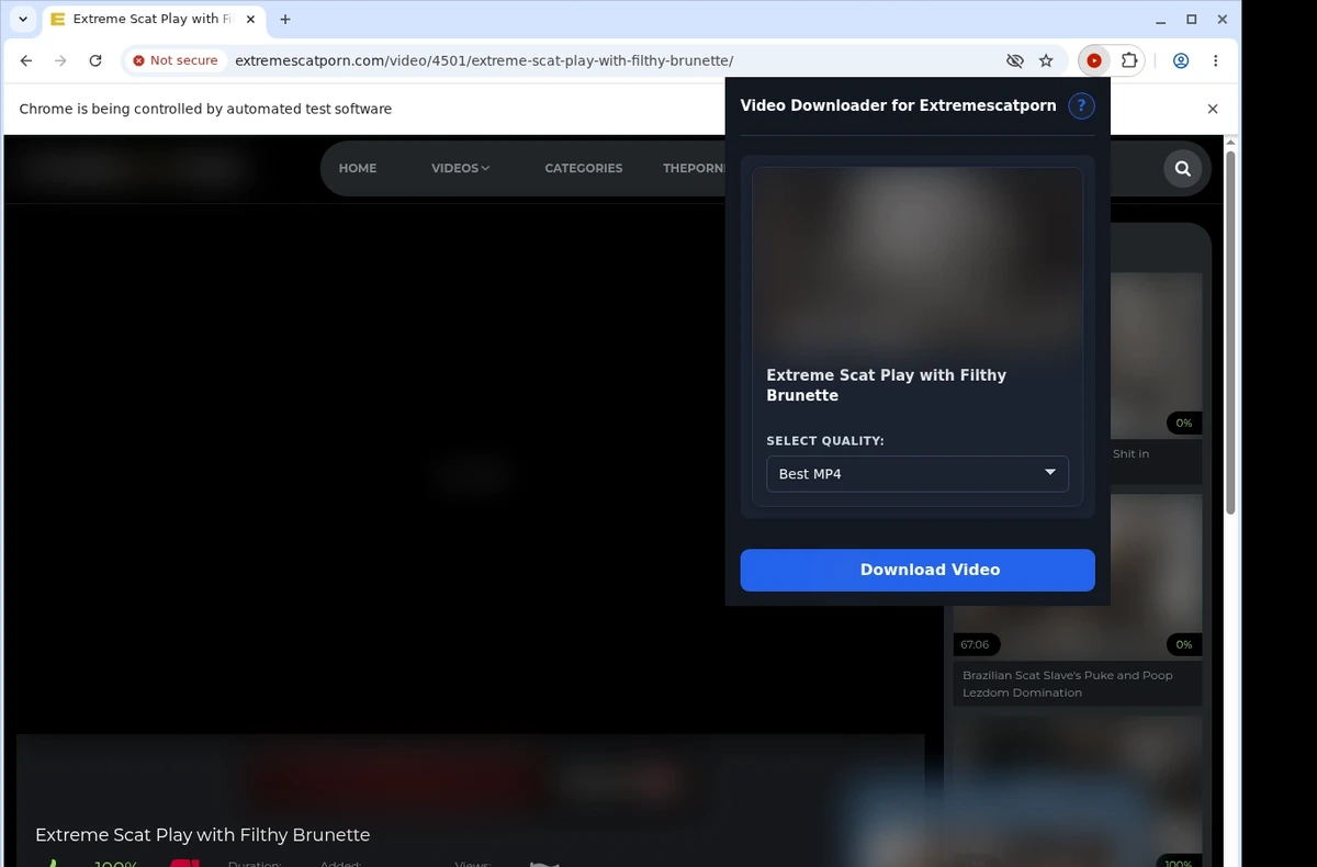 ExtremeScatPorn Video Downloader ready state screenshot