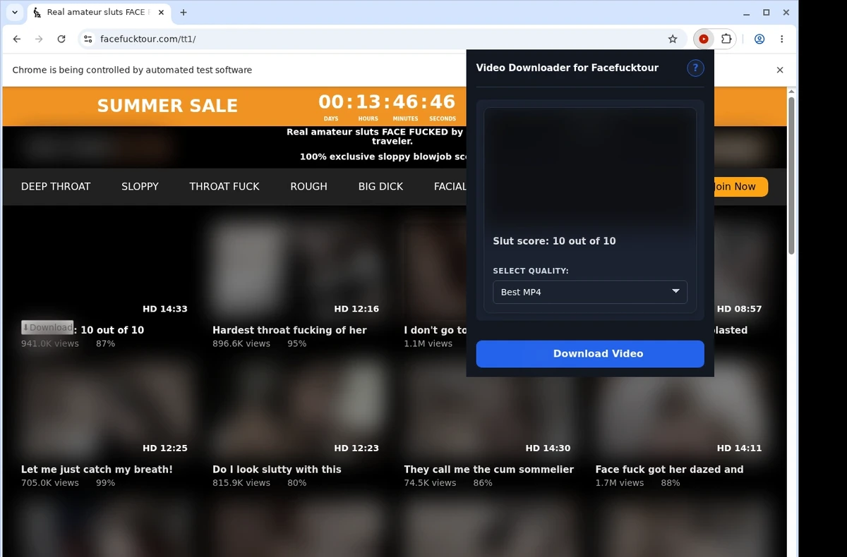 FaceFuckTour Video Downloader ready state screenshot