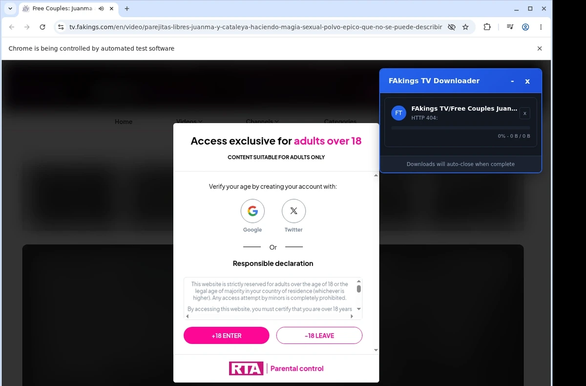 Fakingstv Video Downloader ready state screenshot