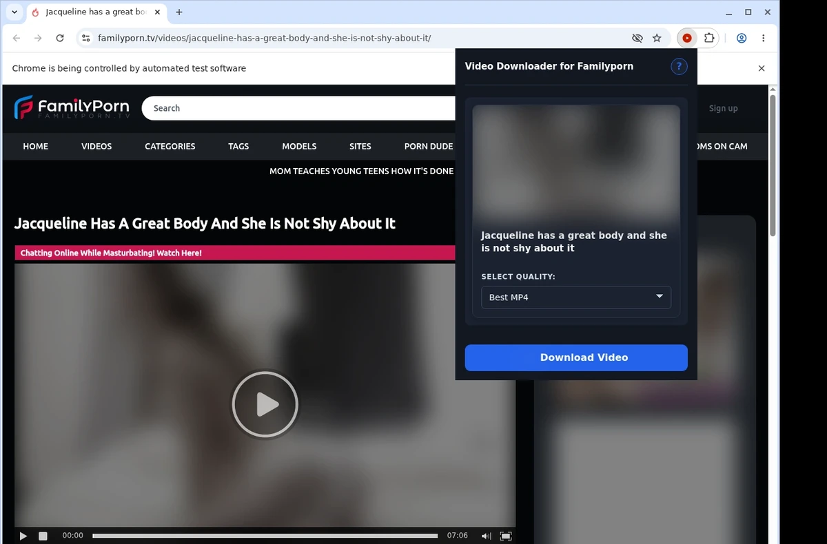 FamilyPorn.tv Video Downloader ready state screenshot