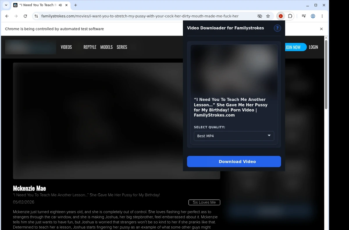FamilyStrokes Video Downloader ready state screenshot