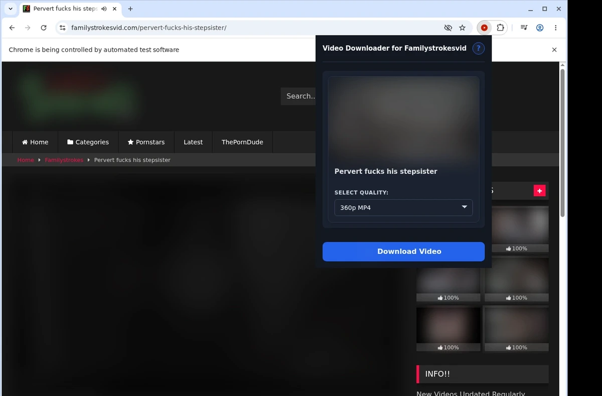 FamilyStrokesVid Video Downloader ready state screenshot