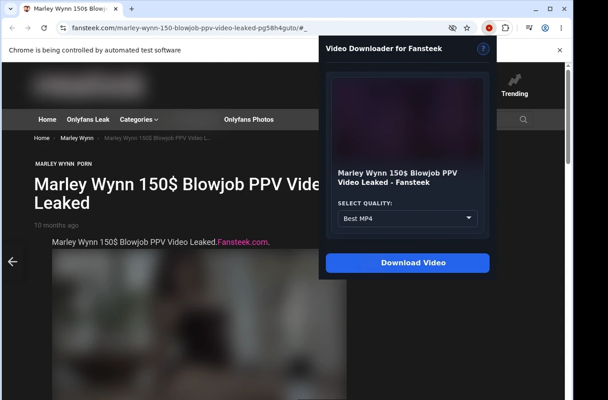 Fansteek Video Downloader ready state screenshot