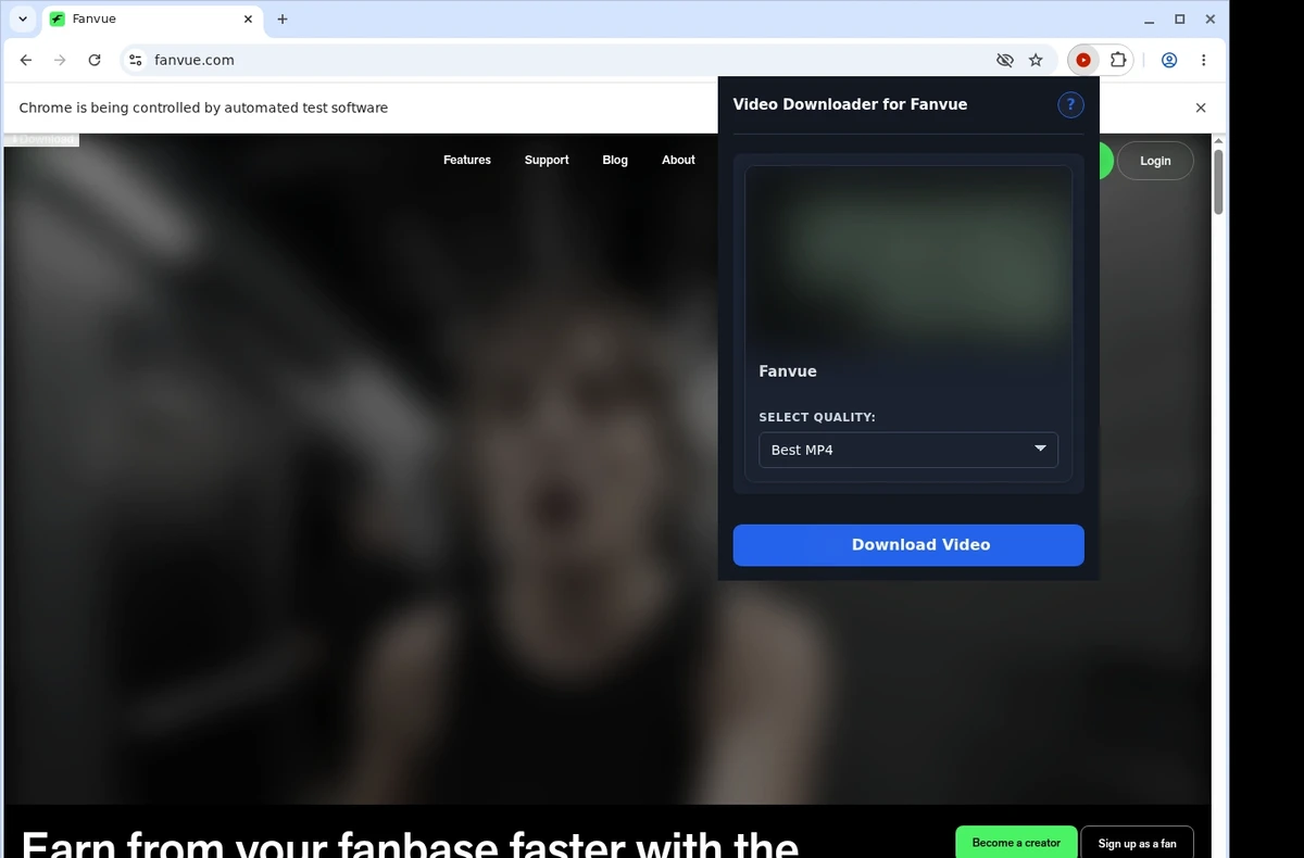 Fanvue Downloader ready state screenshot